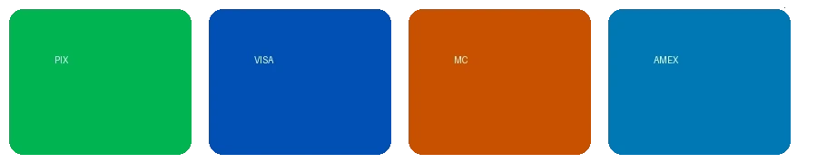 禁漫天堂支持的支付方式图标 - 包括PIX、VISA、万事达卡等